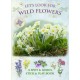 Let's Look for Wild Flowers