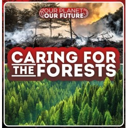 Caring for the Forests
