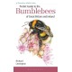 Pocket Guide to the Bumblebees of Great Britain and Ireland