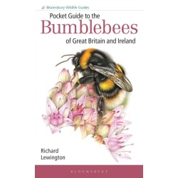 Pocket Guide to the Bumblebees of Great Britain and Ireland