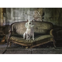 Furbex: A Dog’s Life of Urban Exploration