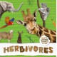 Herbivores