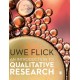 An Introduction to Qualitative Research