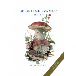 Spiselige svampe: i naturen