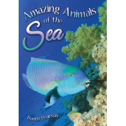 Amazing Animals of the Sea