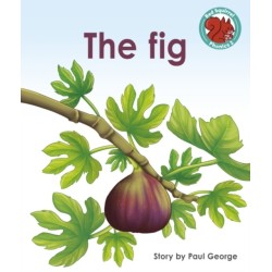 The Fig