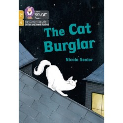 The Cat Burglar: Phase 5 Set 1