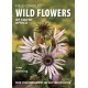 Field Guide to Wild Flowers of South Africa