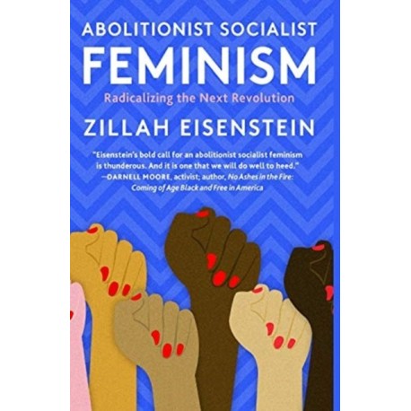 Abolitionist Socialist Feminism: Radicalizing the Next Revolution