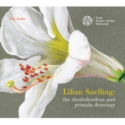 Lillian Snelling: The Rhododendron and Primula Drawings