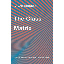 The Class Matrix: Social Theory after the Cultural Turn
