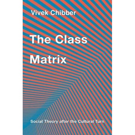 The Class Matrix: Social Theory after the Cultural Turn