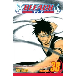 Bleach, Vol. 38: Fear for Fight