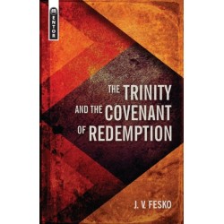 The Trinity And the Covenant of Redemption
