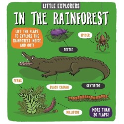 Little Explorers: In the Rainforest