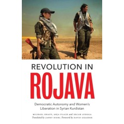 Revolution in Rojava: Democratic Autonomy and Women's Liberation in Syrian Kurdistan