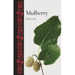Mulberry