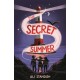 The Secret Summer