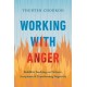 Working with Anger: Buddhist Teachings on Patience, Acceptance, and Transforming Negativity