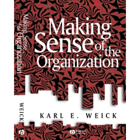 Making Sense of the Organization