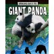 Giant Panda: Animals Back from the Brink