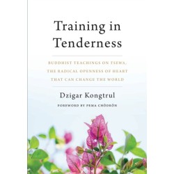 Training in Tenderness: Buddhist Teachings on Tsewa, the Radical Openness of Heart That Can Change the World