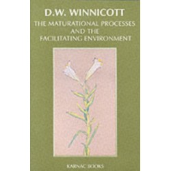 The Maturational Processes and the Facilitating Environment: Studies in the Theory of Emotional Development