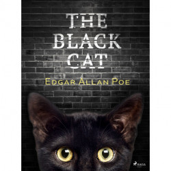The Black Cat