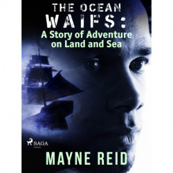 The Ocean Waifs: A Story of Adventure on Land and Sea
