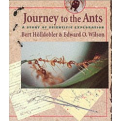 Journey to the Ants: A Story of Scientific Exploration