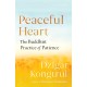 Peaceful Heart: The Buddhist Practice of Patience