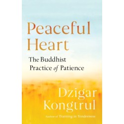 Peaceful Heart: The Buddhist Practice of Patience