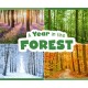 A Year in the Forest