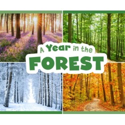 A Year in the Forest