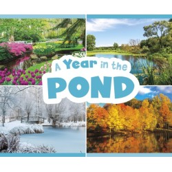A Year in the Pond