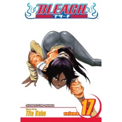 Bleach, Vol. 17: Rosa Rubicundior, Lilio Candidior