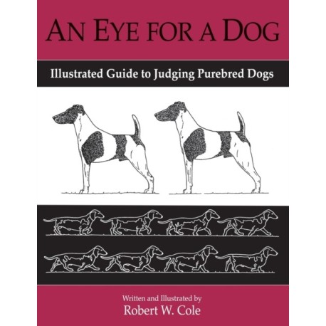 AN EYE FOR A DOG