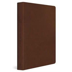 ESV Teen Study Bible