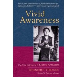 Vivid Awareness: The Mind Instructions of Khenpo Gangshar