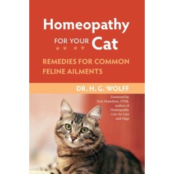 Homeopathy for Your Cat: Remedies for Common Feline Ailments