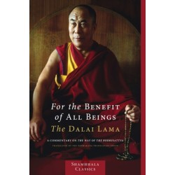 For the Benefit of All Beings: A Commentary on the Way of the Bodhisattva
