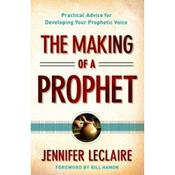 The Making of a Prophet – Practical Advice for Developing Your Prophetic Voice: Practical Advice for Developing Your Prophetic Voice