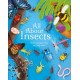 All About Insects: An illustrated guide to bugs and creepy-crawlies