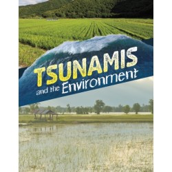 Tsunamis and the Environment