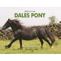 Spirit of the Dales Pony