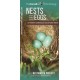 Nests and Eggs of North American Backyard Birds