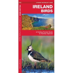 Ireland Birds, 2nd Ed: A Folding Pocket Guide to Familiar Species