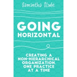 Going Horizontal: Creating a Non-Hierarchical Organization, One Practice at a Time