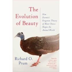 Evolution of Beauty: How Darwin's Forgotten Theory of Mate Choice Shapes the Animal World - and Us