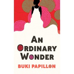 An Ordinary Wonder: Heartbreaking and charming coming-of-age fiction about love, loss and taking chances